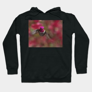 Anna's Hummingbird Portrait Hoodie